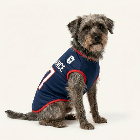 Les Bleus - Francia