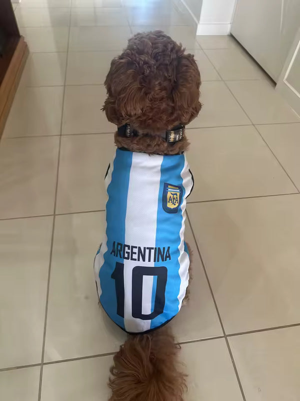 Francisca E. (NUEVO)