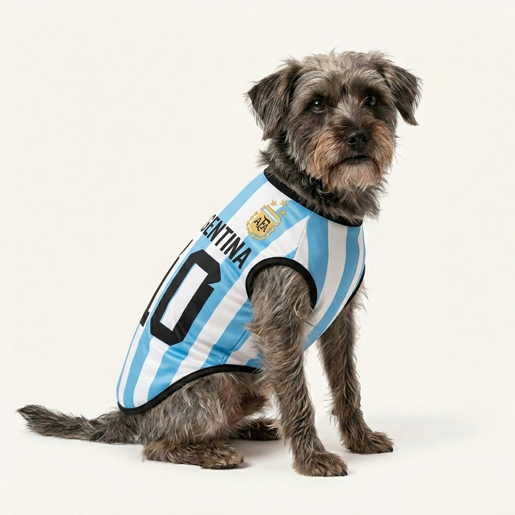 La Albiceleste - Argentina