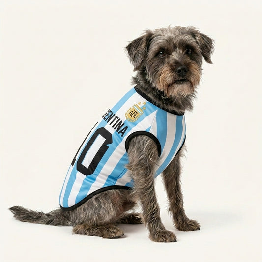 La Albiceleste - Argentina