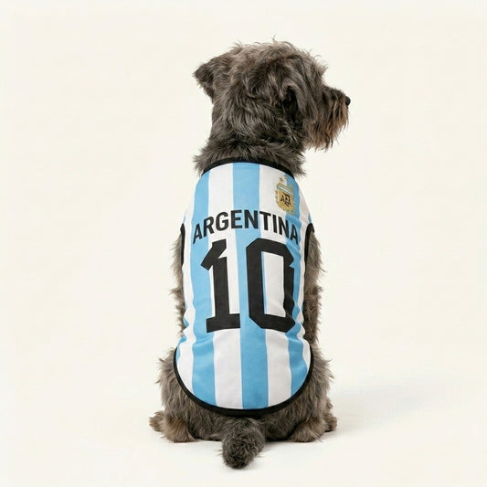 La Albiceleste - Argentina